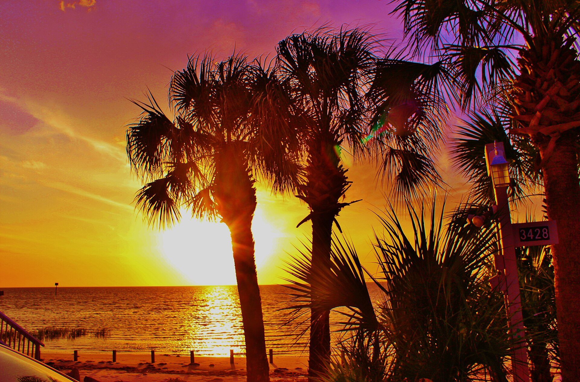 Sunset over the Gulf of Mexico at Pine Island, Hernando County, with palm silhouettes