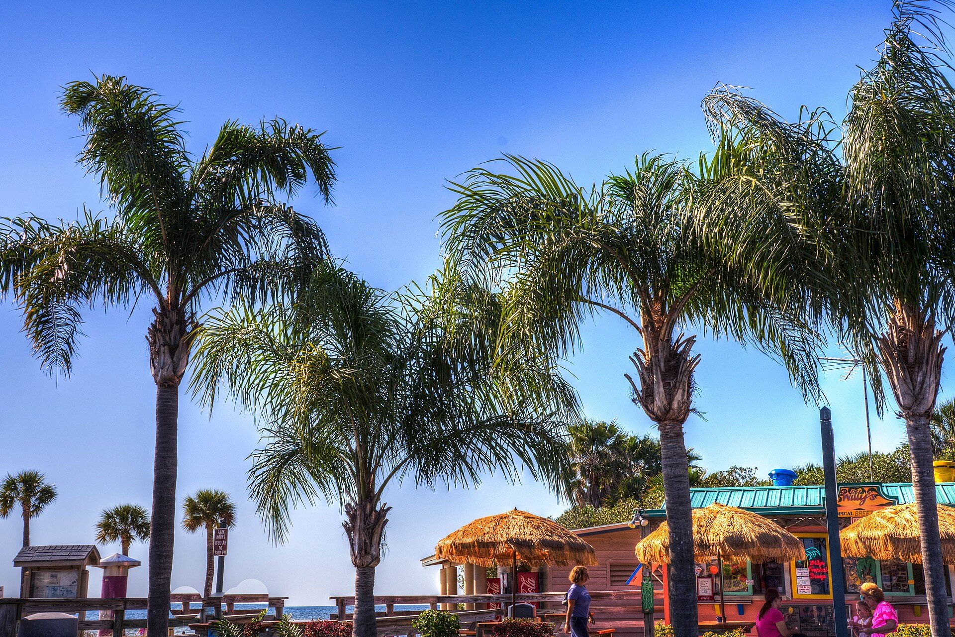 Palms and tiki huts at Pine Island Park
